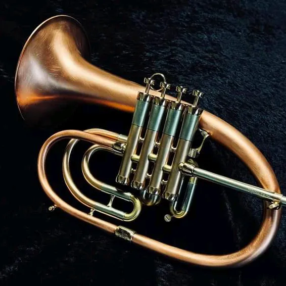 @africantrumpet3