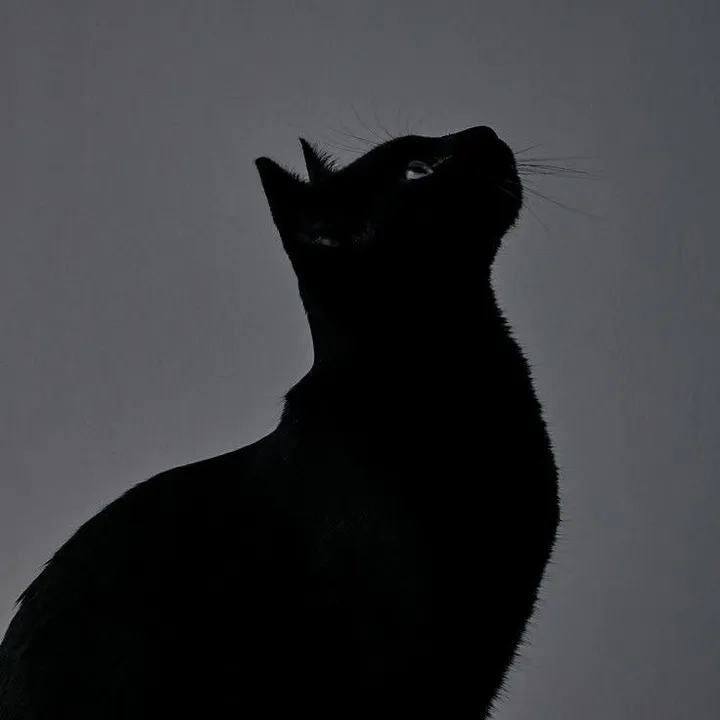 @احمد★