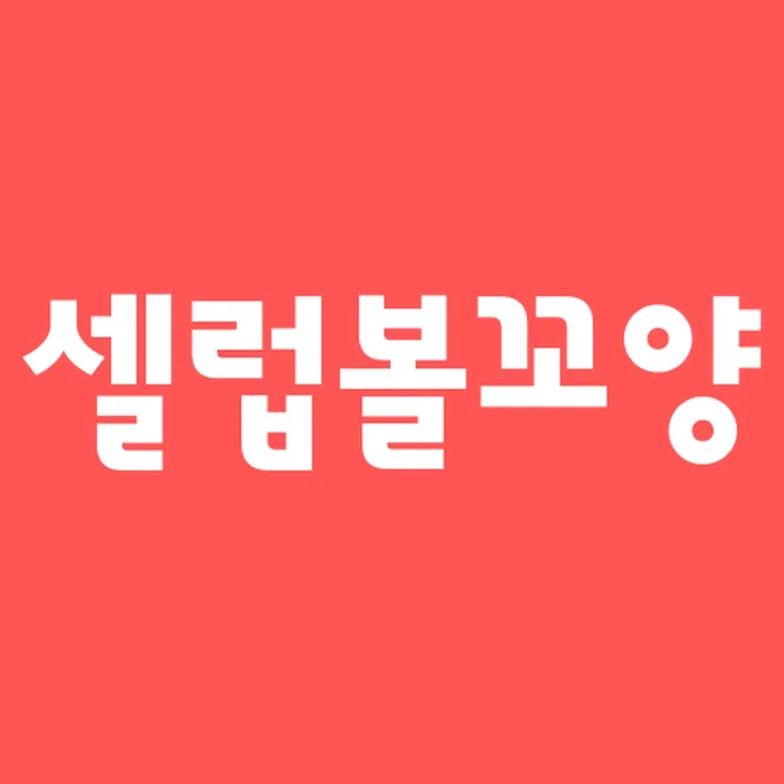 yourceleb24
