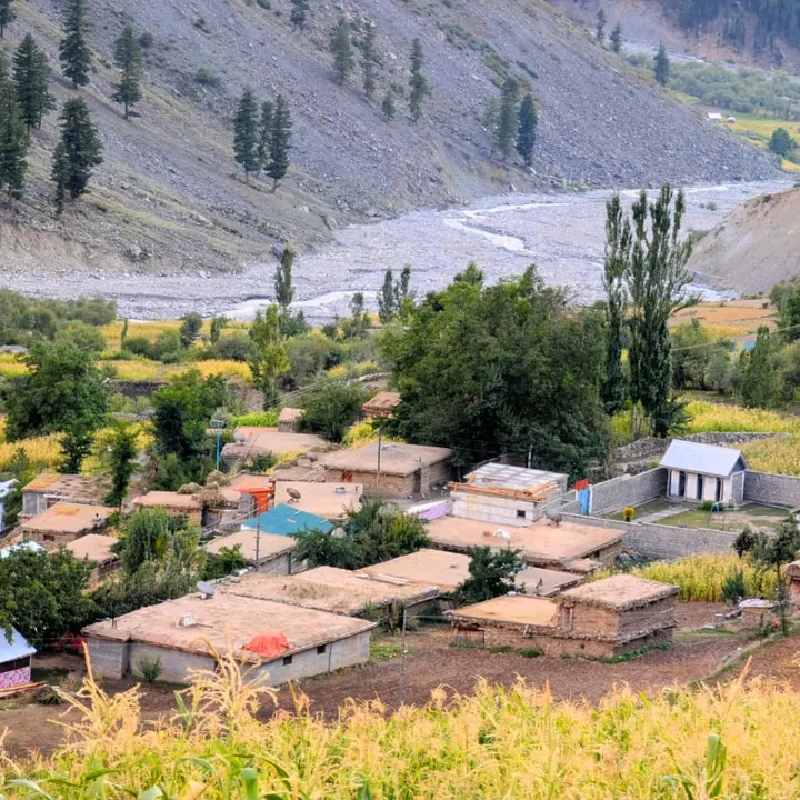 @mdk_chitral