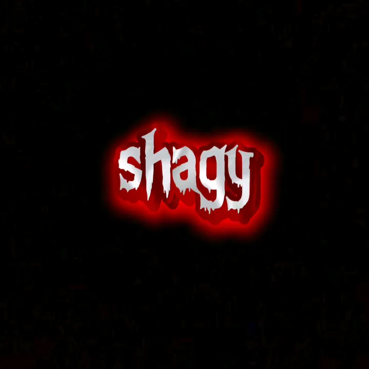 @lirik_shagy
