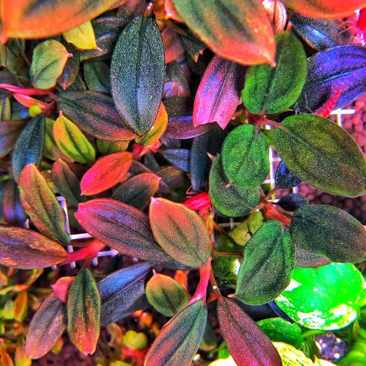 timhieuthuysinh