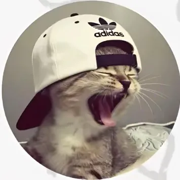 @wh1ye1