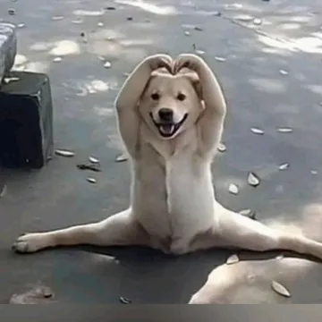 @pak_boy_005