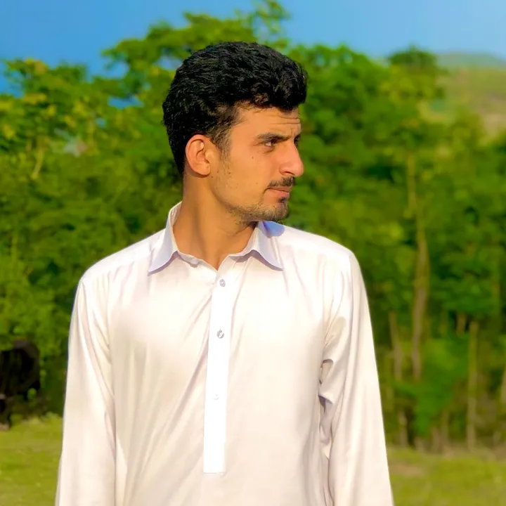@syedhamzaali29
