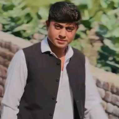 sarkar.111r