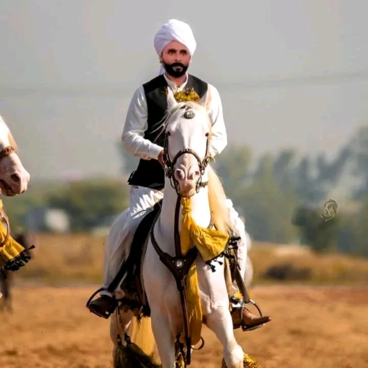 @malikjaveed135