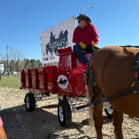 @pigeonlakehorse