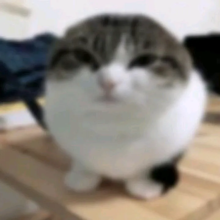 @astaizzzza.2