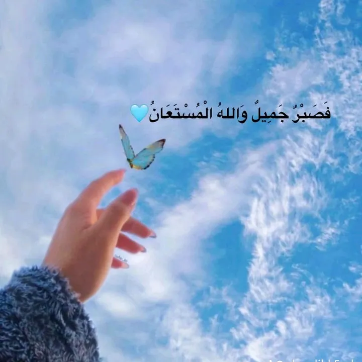 @usar235135