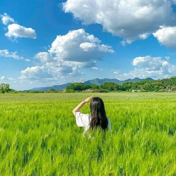 @siru.kasaudhan