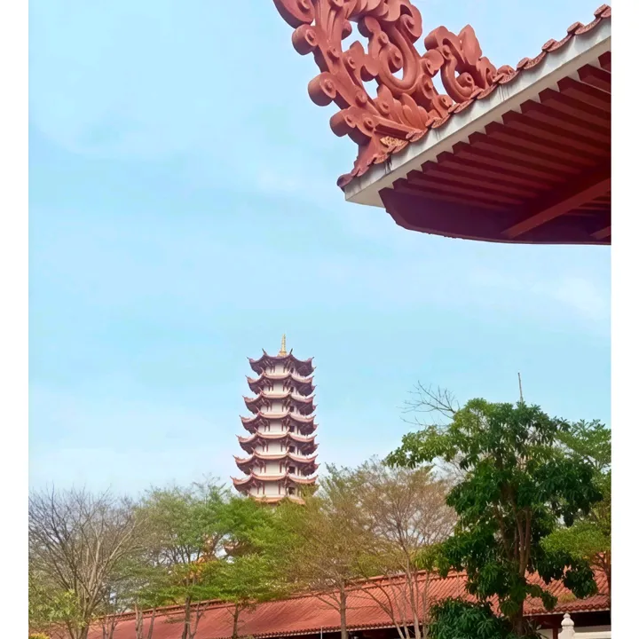 @nguyentruongkhoa7