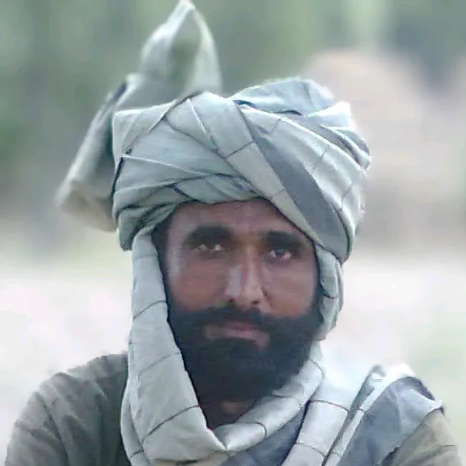 @zulfiqar9240