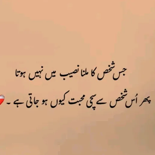 @sanawa.sanwal