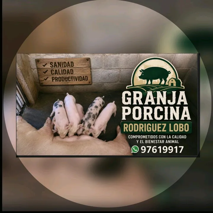 bocado52