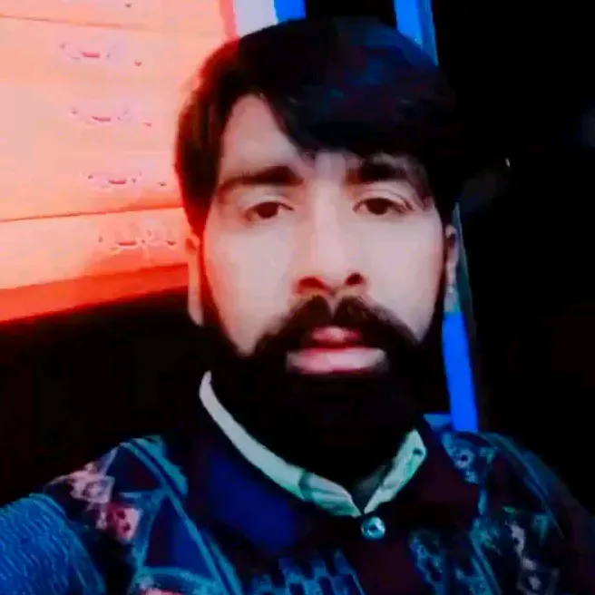 sajidwahla1531