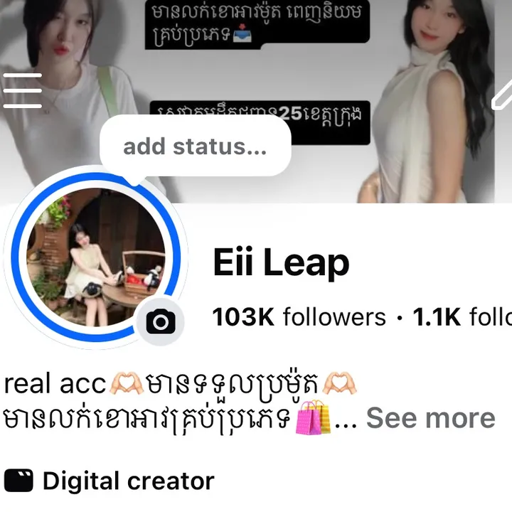 eiileap73