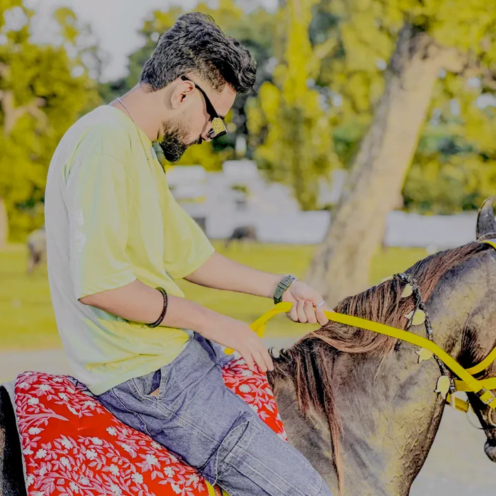 alirajput.804