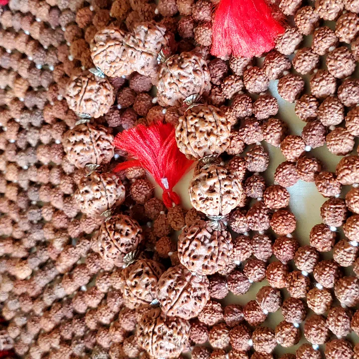@nepalusarudraksha