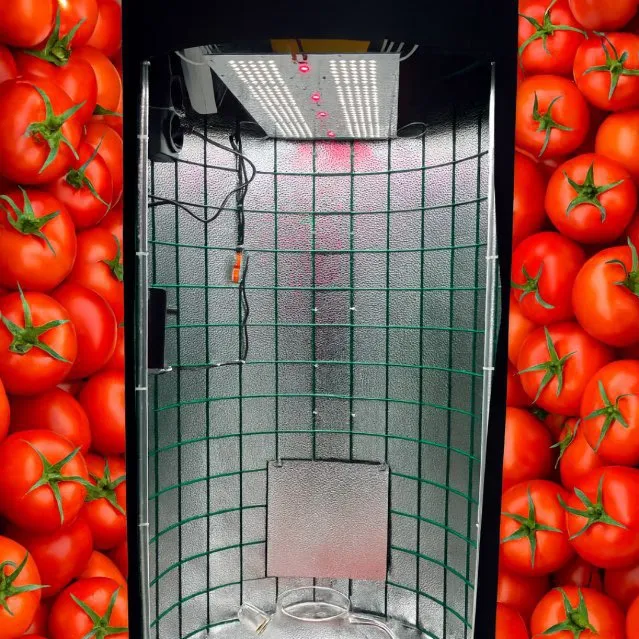 @growtube.ru