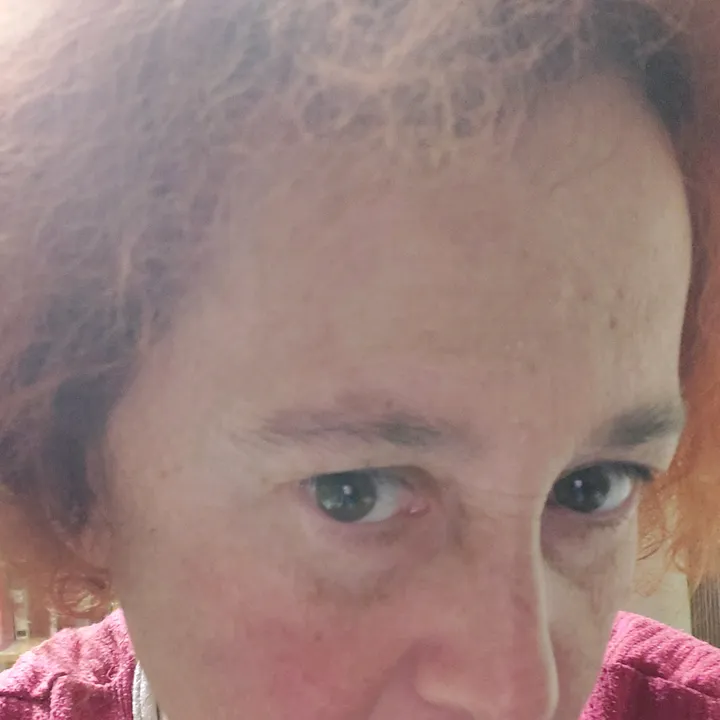 vchemsilamamka