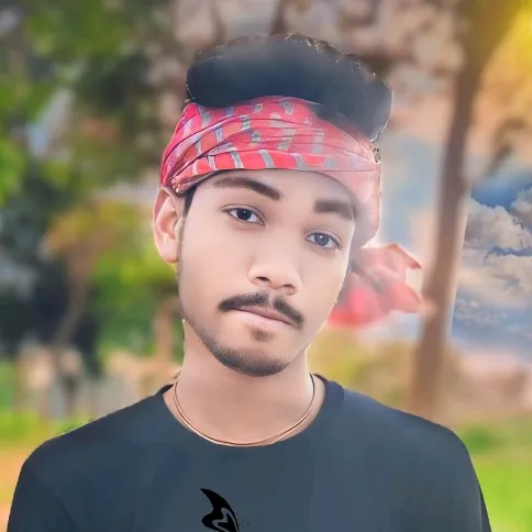 @sumolbabusumol