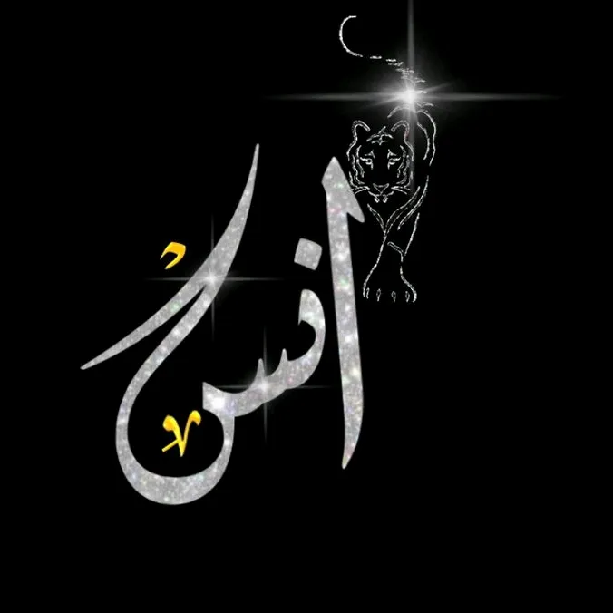 @anasgour0000