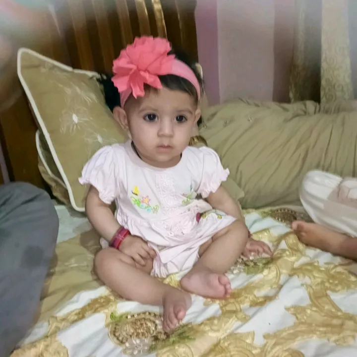@waleedsheikh1290