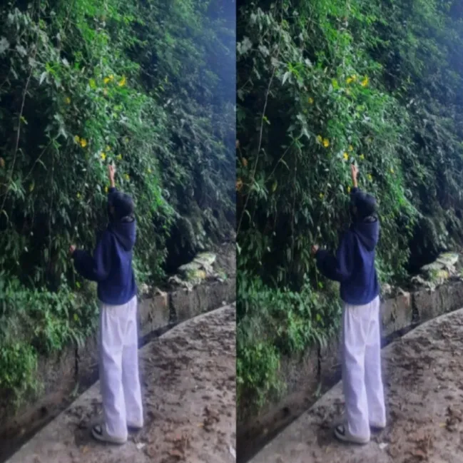 @nispaksha_888