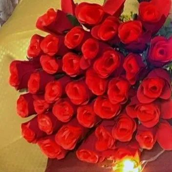 @rabinasamia