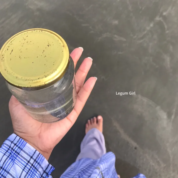 @legum.girl
