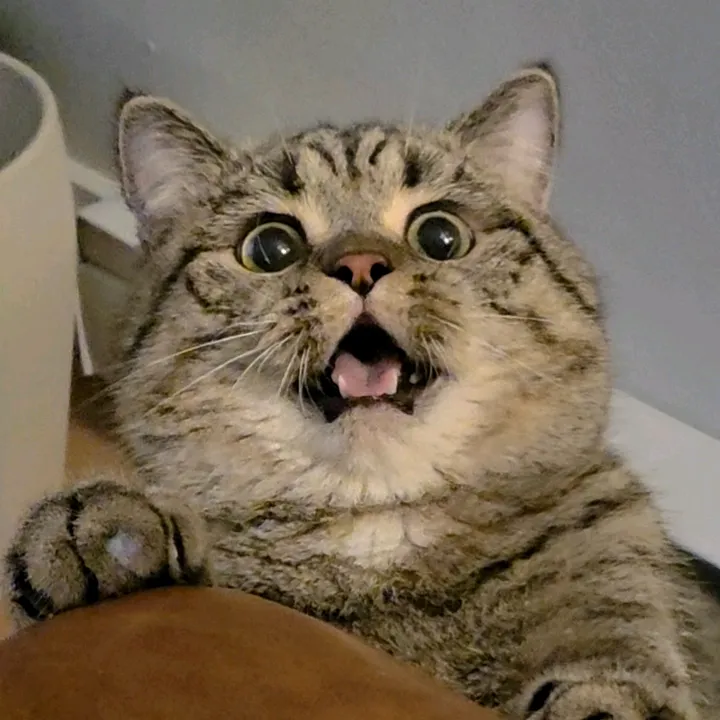 @kinglukameowmeow