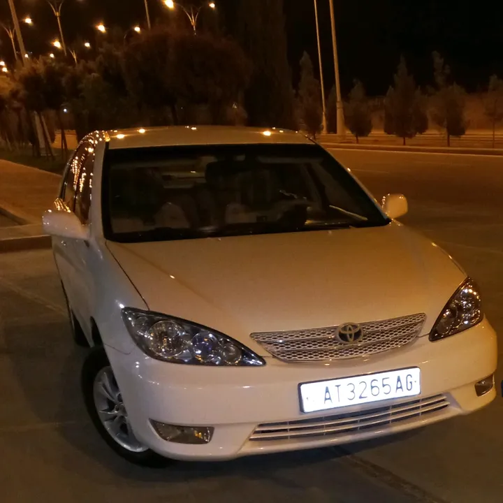 @rovshen9997