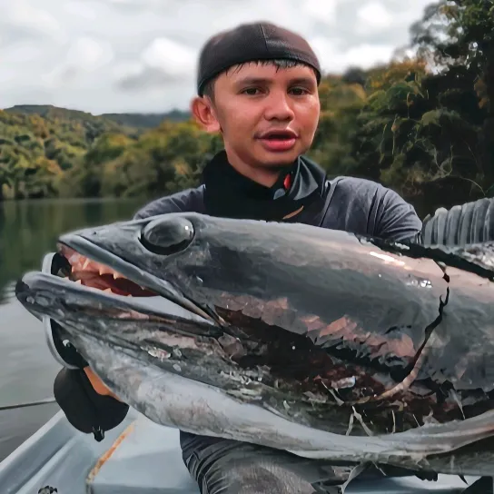 @damzstrikefishing