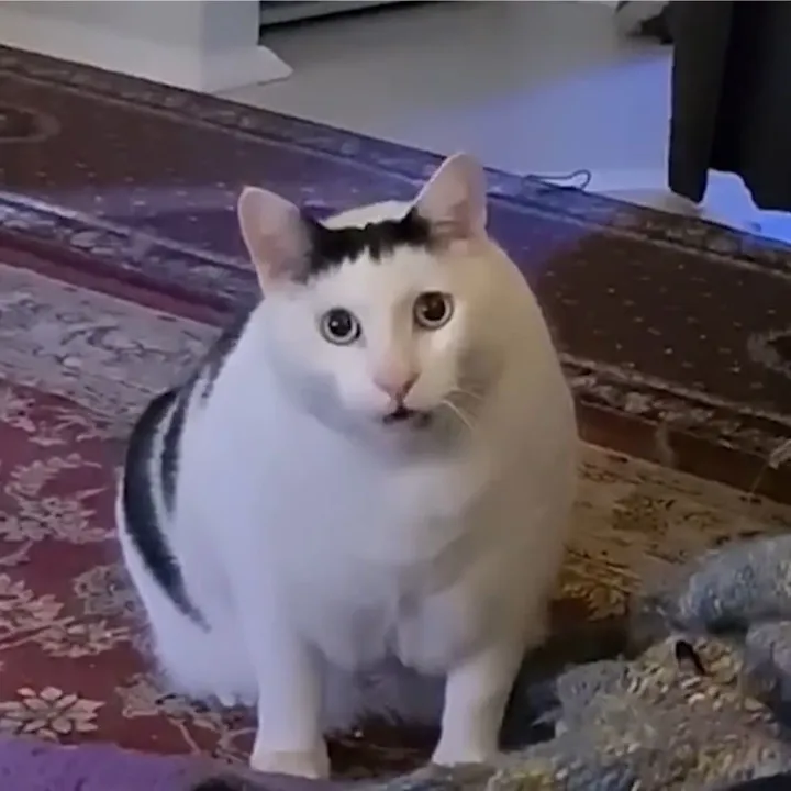 @memekah_