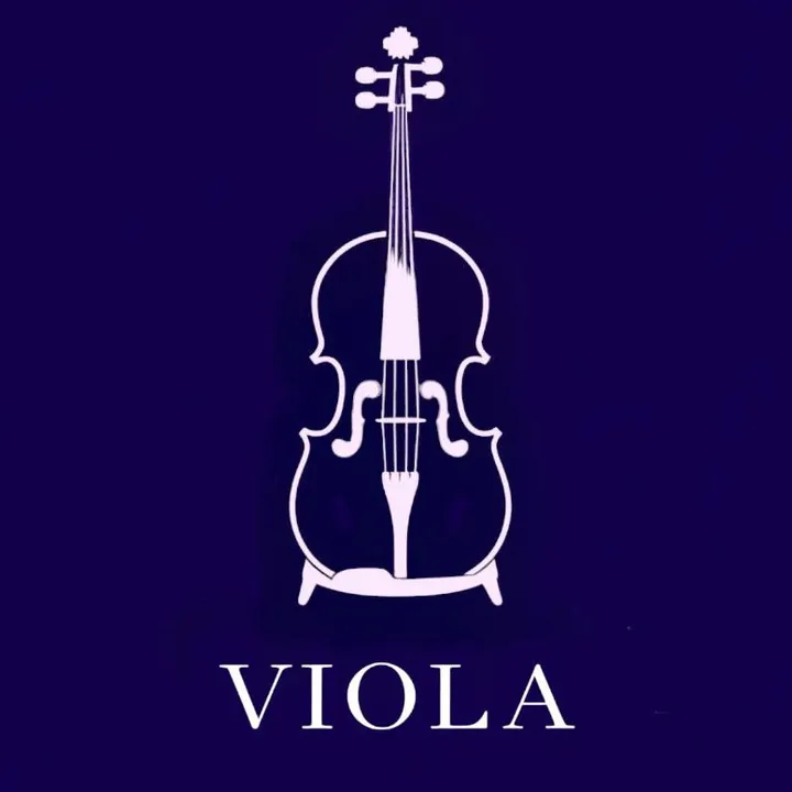 violi_music1