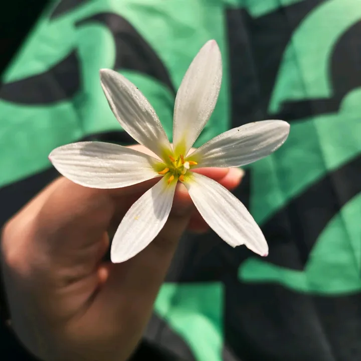 @theseekerdiaries