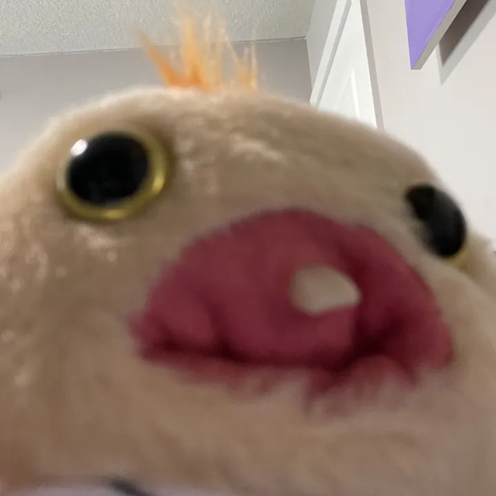 @0f0_you