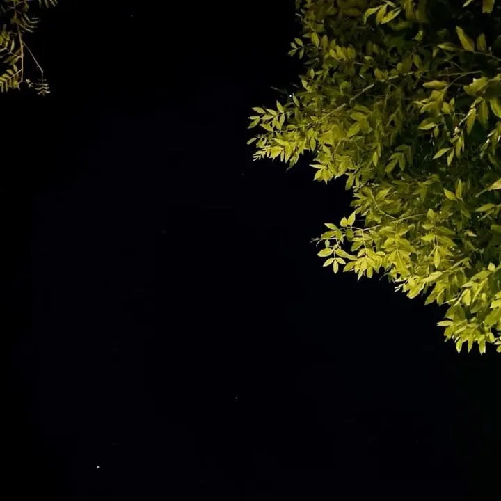 zeekhan1219