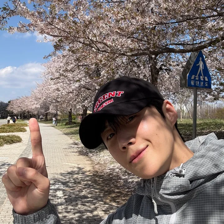 seondimple