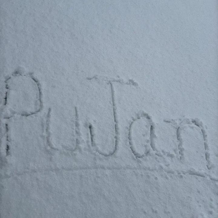 pujannepal25