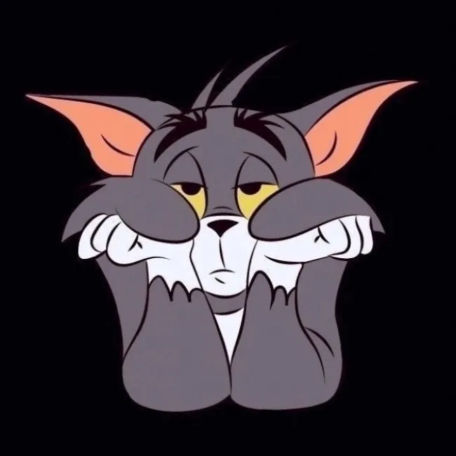 @napas____