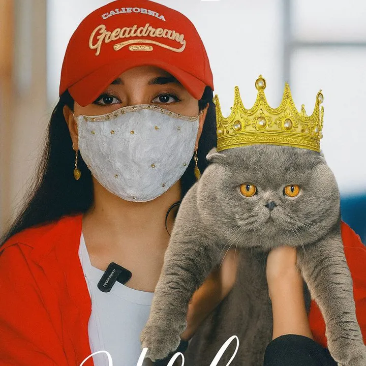 @kittens_uz