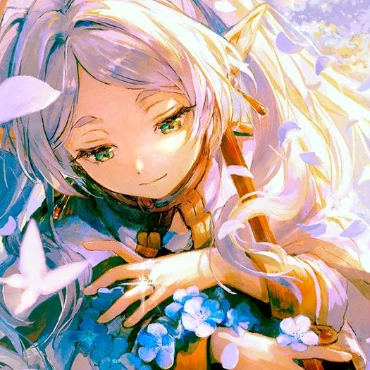 animhoyk