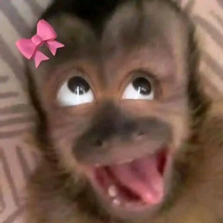 @chikistrikis2408