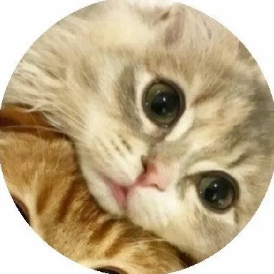 nfeez00