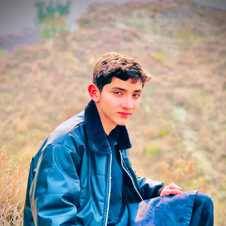@muhammadsaimali295