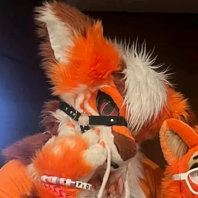 @chaosfox56