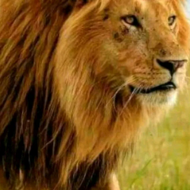 @rahulkoli12042