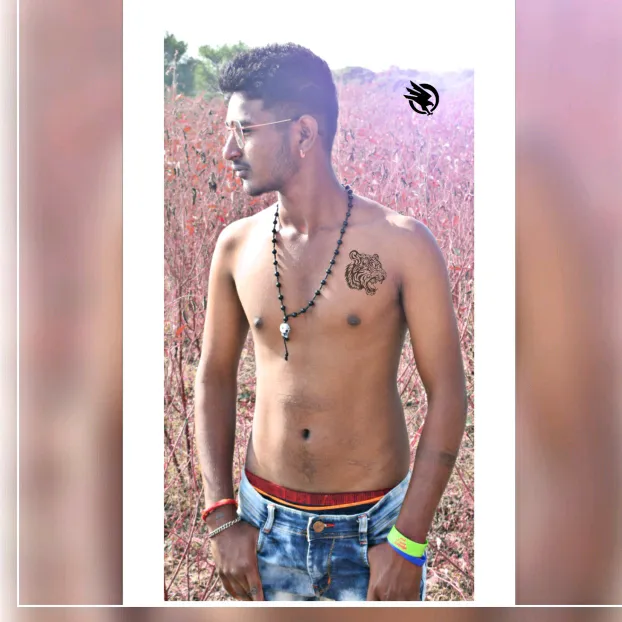 @user7584475251319